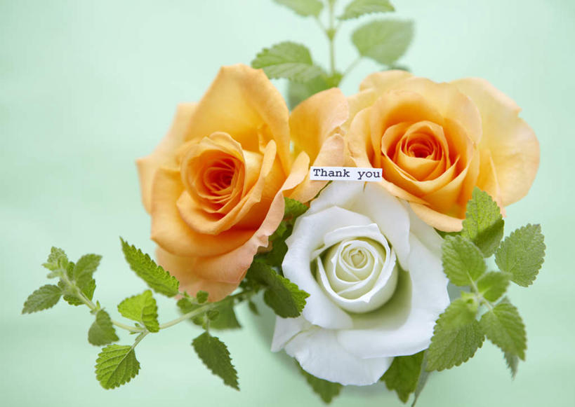 无人,横图,俯视,室内,特写,白天,爱情,幸福,纯洁,热情,玫瑰,叶子,父亲节,许多,绿色背景,节日,庆祝,盛开,英文,标志,文字,字符,字母,绿叶,玫瑰花,纸条,浪漫,花蕾,文化,标识,花,花瓣,花朵,鲜花,黄色,白色,白玫瑰,花苞,花蕊,庆典,温暖,温馨,嫩叶,恩爱,摄影,影棚,摆放,纪念,英文字母,和睦,放置,感动,感恩,尊敬,天真,刺玫花,徘徊花,叶,叶片,彩图,高角度拍摄,影棚拍摄,拍摄,融洽