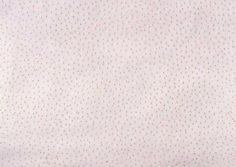 无人,横图,室内,特写,白天,正面,静物,一块,丰富,装饰,纹路,纹理,皮,褐色,皮革,温暖,成熟,皮肤,保暖,华丽,皮毛,点缀,御寒,肌理,衬托,美观,雅致,雅观,猪皮,谦让,随和,彩图,猪皮革