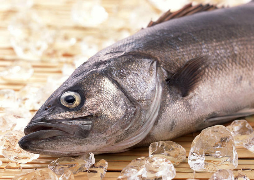 无人,横图,俯视,室内,特写,白天,静物,许多,阴影,蓝色背景,透明,反射,纹路,纹理,影子,纸,纸张,文化,蓝色,摄影,影棚,肌理,和纸,日本纸,理智,沉静,通明,冷色,高深,冷淡,彩图,高角度拍摄,影棚拍摄,拍摄