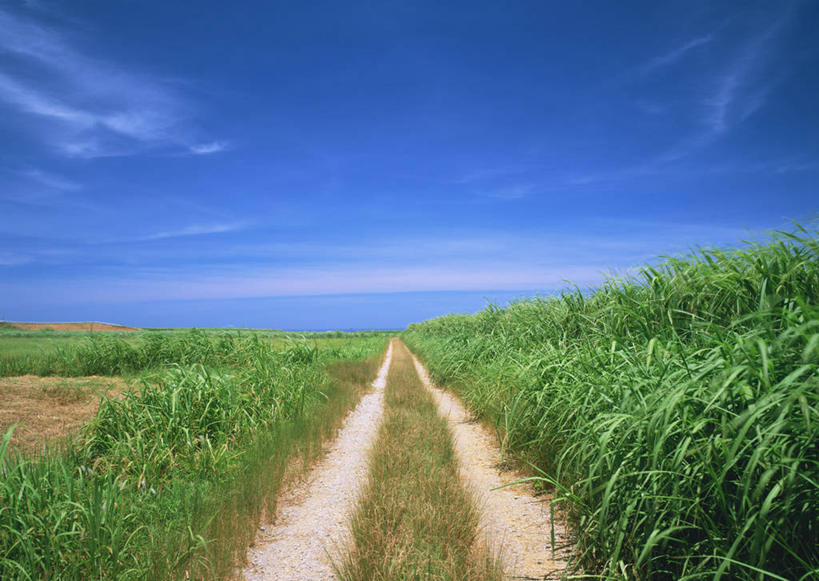 无人,横图,室外,白天,正面,旅游,度假,草地,草坪,美景,植物,道路,路,日本,亚洲,阴影,光线,影子,景观,云,云朵,小路,交通,云彩,娱乐,冲绳,草,蓝色,绿色,白云,蓝天,天空,阳光,自然,天,享受,休闲,景色,放松,乡间小路,晴朗,冲绳县,自然风光,东亚,琉球群岛,石垣岛,日本国,九州地方,八重山群岛,石垣市,晴空,彩图