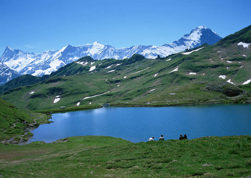 无人,横图,室外,白天,正面,旅游,度假,草地,草坪,湖,湖泊,美景,山,水,雪,雪山,植物,大雪,瑞士,欧洲,阴影,光线,影子,冰,湖面,积雪,景观,山峰,水流,水面,雪景,冬季,冬天,山峦,首都,娱乐,伯尔尼,草,树,树木,蓝色,绿色,蓝天,天空,阳光,自然,湖水,天,享受,休闲,景色,放松,寒冷,生长,晴朗,成长,冰冷,自然风光,中欧,万里无云,严寒,瑞士联邦,冰凉,酷寒,凛冽,凛凛,极冷,伯尔尼州,因特拉肯,艾格峰,晴空,晴空万里,彩图