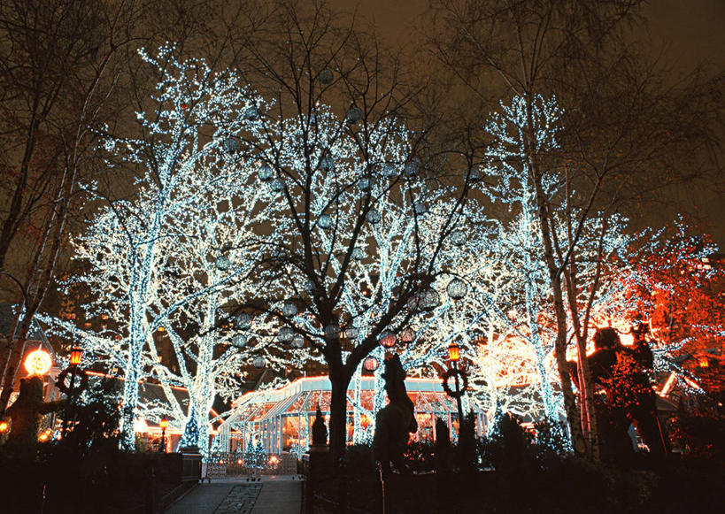 无人,横图,室外,夜晚,仰视,度假,美景,植物,城市风光,城市,纽约,美国,阴影,光线,影子,景观,灯光,曼哈顿,枝条,娱乐,树,树木,树枝,享受,休闲,景色,放松,北美,北美洲,美洲,中央公园,纽约中央公园,纽约州,帝国之州,帝国州,北亚美利加洲,亚美利加洲,虬枝,枝杈,彩图,低角度拍摄,曼哈顿岛