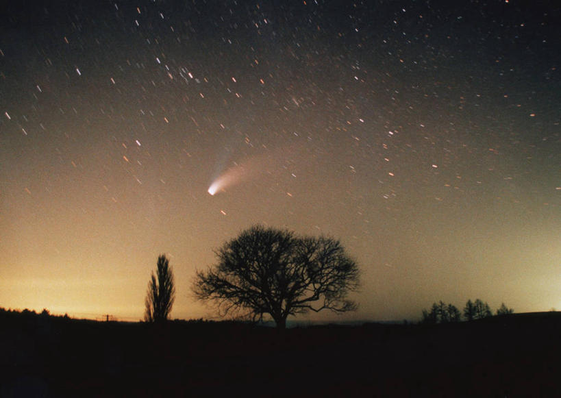 无人,横图,室外,夜晚,正面,神秘,极光,流星,美景,星空,植物,夜景,景观,背光,辉煌,浪漫,美丽,文化,树,树木,绿色,自然,祈祷,灿烂,景色,许愿,海尔波普彗星,彗星,生长,成长,气象,华丽,祈求,天体,美好,天文,神奇,逆光,天文学,绚烂,光耀,极光带,极光弧,极光幔,极光芒,极光片,扫把星,扫帚星,流星雨,星夜,夜空,彩图,海尔.波普彗星