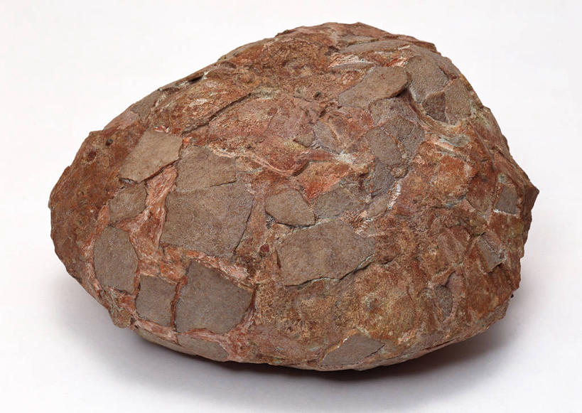 无人,横图,俯视,室内,特写,白天,白色背景,石头,桌子,静物,一块,阴影,遗迹,反射,纹路,化石,石子,纹理,影子,蛋,摄影,影棚,肌理,卵,遗体,古生物,石块,岩石,恐龙蛋,彩图,高角度拍摄,影棚拍摄,拍摄