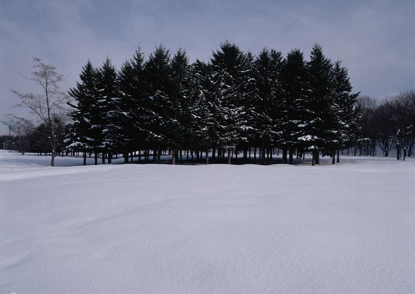 无人,横图,室外,白天,正面,旅游,度假,美景,森林,树林,雪,植物,大雪,北海道,日本,亚洲,阴影,光线,影子,积雪,景观,雪景,云,云朵,冬季,冬天,云彩,娱乐,树,树木,蓝色,绿色,白云,蓝天,天空,阳光,自然,天,享受,休闲,景色,放松,寒冷,生长,晴朗,成长,自然风光,东亚,日本国,北海道地方,北海道岛,严寒,晴空,彩图,鄂霍次克综合振兴局,道东,网走,网走市,网走支厅