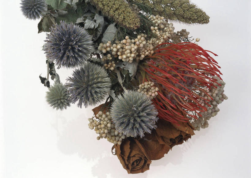 无人,横图,俯视,室内,特写,白天,白色背景,爱情,幸福,纯洁,智慧,热情,桌面,桌子,玫瑰,叶子,阴影,艺术,装饰,盛开,反射,木制,影子,绿叶,玫瑰花,浪漫,花蕾,文化,花,花瓣,花朵,鲜花,插花,木制品,花苞,花蕊,一束,温暖,温馨,嫩叶,菊花,恩爱,摄影,影棚,华丽,修饰,插花艺术,点缀,和睦,创造,创作,感动,想象,衬托,美观,雅致,雅观,尊敬,蓝刺头,天真,刺玫花,徘徊花,叶,叶片,彩图,高角度拍摄,影棚拍摄,拍摄,驴欺口,融洽