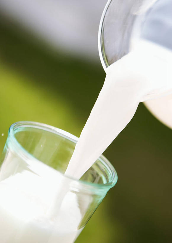 牛奶,无人,竖图,室外,特写,白天,正面,草地,草坪,植物,餐桌,桌子,杯子,倒,阴影,朦胧,模糊,光线,壶,影子,饮品,营养,玻璃制品,水壶,草,饮料,绿色,阳光,茶壶,容器,水杯,餐台,乳制品,奶,牛乳,安神,玻璃杯,彩图