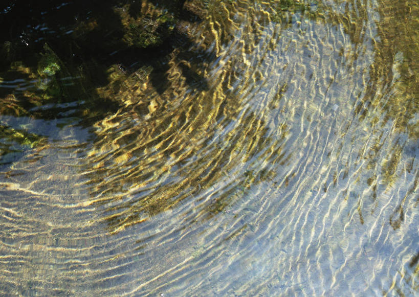 无人,横图,俯视,室外,特写,白天,旅游,度假,湖,湖泊,石头,美景,水,日本,亚洲,波纹,石子,湖面,景观,水流,水面,涟漪,娱乐,倒影,水纹,自然,波浪,湖水,享受,休闲,景色,放松,倒映,自然风光,东亚,本州,本州岛,日本国,水晕,东北地方,山形,山形县,反照,石块,岩石,彩图,高角度拍摄,东田川郡,庄内町