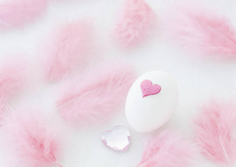 无人,横图,俯视,室内,特写,白天,白色背景,爱情,羽毛,阴影,爱心,轻盈,柔软,反射,影子,塑料,亚克力,蛋,鸡蛋,浪漫,一个,粉色,塑料制品,温暖,温馨,心形,恩爱,摄影,影棚,单个,和睦,轻柔,亚加力,有机玻璃,卵,心型,彩图,高角度拍摄,影棚拍摄,拍摄,聚甲基丙烯酸甲酯,热塑性塑料,融洽