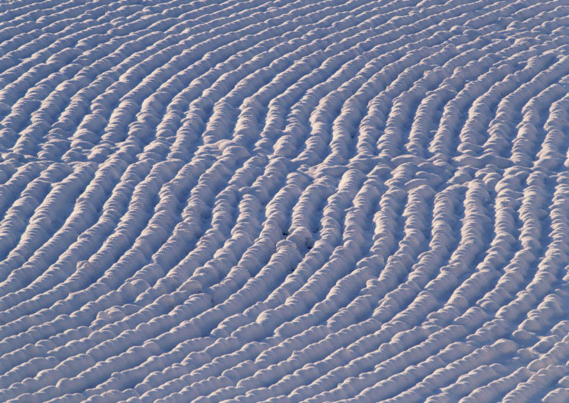 无人,横图,俯视,室外,特写,白天,旅游,度假,美景,雪,大雪,长野县,日本,亚洲,阴影,条纹,光线,纹路,纹理,影子,积雪,景观,雪景,冬季,冬天,娱乐,白色,阳光,自然,享受,休闲,景色,放松,寒冷,卫生,自然风光,东亚,纯真,本州,肌理,本州岛,日本国,中部地方,长野,严寒,县厅,洁净,光明,恬静,中间色,朴素,清白,彩图,高角度拍摄,长野市
