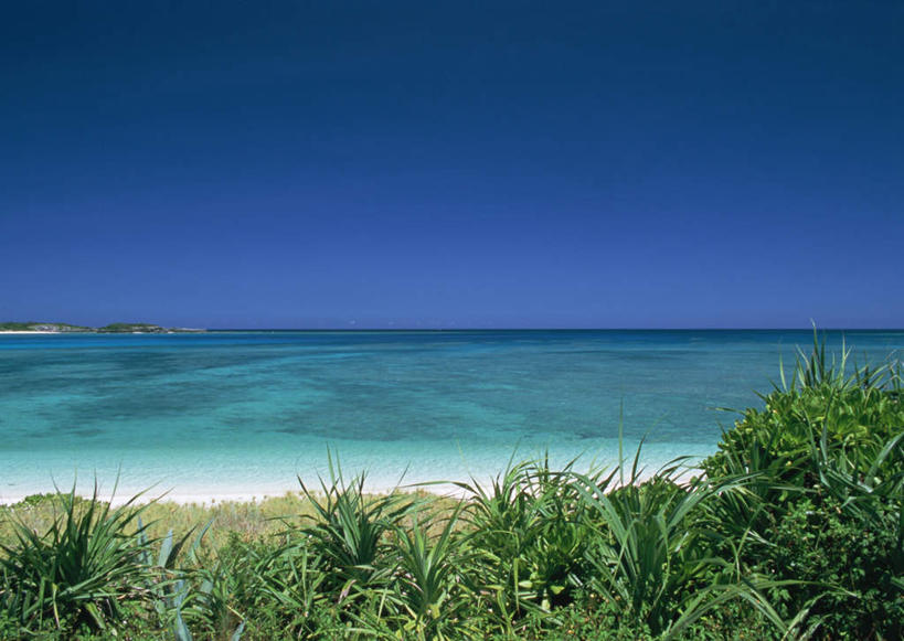 无人,横图,室外,白天,正面,旅游,度假,海浪,海洋,美景,森林,沙滩,树林,植物,日本,亚洲,阴影,光线,沙子,影子,海岸,景观,浪花,水平线,辽阔,海平线,沙地,娱乐,冲绳,树,树木,蓝色,绿色,蓝天,天空,阳光,自然,海水,天,享受,休闲,广阔,景色,放松,生长,晴朗,成长,一望无际,冲绳县,自然风光,海景,东亚,万里无云,琉球群岛,日本国,九州地方,无边无际,一马平川,大海,风浪,海,海水的波动,海滩,近岸浪,涌浪,晴空,晴空万里,彩图,岛尻郡,伊平屋村,水天相接,水天一线