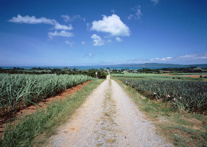 无人,农田,横图,室外,白天,正面,旅游,度假,庄稼,农作物,草地,草坪,石头,美景,山,山脉,树林,植物,道路,路,日本,亚洲,阴影,光线,石子,影子,景观,山峰,云,云朵,小路,交通,山峦,云彩,娱乐,冲绳,草,树,树木,蓝色,绿色,白云,蓝天,天空,阳光,自然,群山,天,享受,休闲,景色,放松,乡间小路,生长,晴朗,成长,冲绳县,自然风光,东亚,沉积岩,琉球群岛,日本国,九州地方,水成岩,冲绳群岛,石块,岩石,晴空,彩图,耕地,庄稼田,屋我地岛