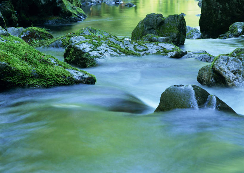 无人,横图,俯视,室外,特写,白天,旅游,度假,河流,石头,美景,瀑布,水,东京,日本,亚洲,阴影,飞溅,朦胧,模糊,溅,光线,石子,液体,影子,河水,景观,水滴,水流,青苔,苔藓,娱乐,水珠,阳光,自然,享受,休闲,景色,放松,喷洒,自然风光,东亚,本州,关东地方,本州岛,日本国,东京都,跌水,石块,岩石,彩图,高角度拍摄,奥多摩町,西多摩郡