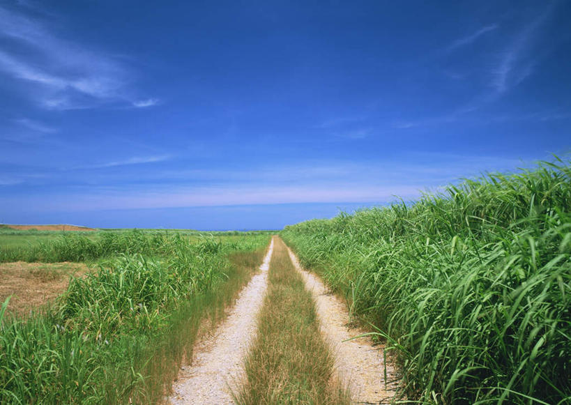 无人,横图,室外,白天,正面,旅游,度假,草地,草坪,岛屿,美景,植物,道路,路,日本,亚洲,阴影,光线,影子,岛,景观,云,云朵,小路,交通,云彩,娱乐,冲绳,草,蓝色,绿色,白云,蓝天,天空,阳光,自然,天,享受,休闲,景色,放松,乡间小路,晴朗,冲绳县,自然风光,东亚,琉球群岛,石垣岛,日本国,九州地方,八重山群岛,石垣市,列岛,群岛,诸岛,晴空,彩图