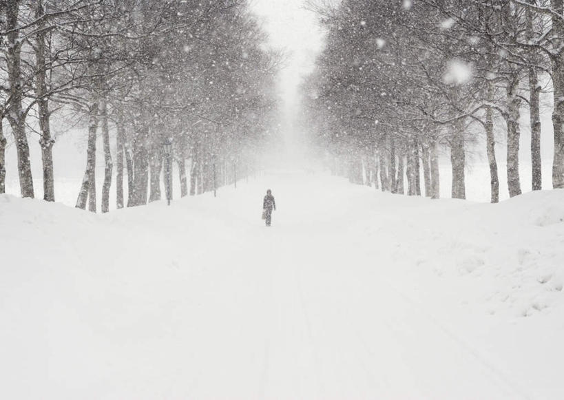 东方人,一个人,走,横图,室外,白天,旅游,度假,美景,树林,雪,植物,大雪,北海道,日本,亚洲,仅一个男性,仅一个人,服装,积雪,景观,雪景,冬季,冬天,黄种人,娱乐,树,树木,仅一个年轻男性,背面,衣服,绿色,自然,享受,休闲,温暖,景色,放松,寒冷,服饰,生长,成长,羽绒服,保暖,御寒,自然风光,东亚,日本国,北海道地方,北海道岛,严寒,冬装,男人,男性,年轻男性,亚洲人,步行,散步,走路,彩图,全身