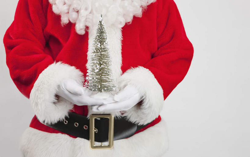 西方人,手,一个人,站,捧,横图,室内,特写,白天,白色背景,正面,植物,欧洲,圣诞节,欧洲人,双手,仅一个男性,仅一个人,仅一个中年男性,圣诞老人,服装,节日,庆祝,圣诞树,文化,树,树木,衣服,红色,绿色,白色,自然,手套,站着,庆典,手部,摄影,服饰,影棚,生长,成长,纪念,衣着,穿着,表演服,演出服,衣饰,道具服,男人,男性,中年男性,白种人,端,端着,捧着,手捧,站立,半身,彩图,影棚拍摄,拍摄