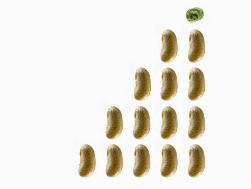 无人,横图,俯视,室内,特写,白天,白色背景,植物,豆,大豆,蔬菜,一排,许多,阴影,新鲜,整齐,并列,并排,反射,三角形,图形,影子,豆类,豆子,毛豆,食品,几何,食物,排列,摄影,有机食品,绿色食品,影棚,队列,数学,直角三角形,平行,豆科,枝豆,黄豆,彩图,高角度拍摄,影棚拍摄,拍摄,Rt三角形,几何图形