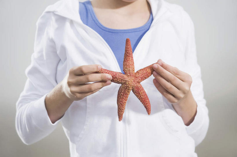 西方人,儿童,手,一个人,站,横图,室外,特写,白天,正面,纯洁,海浪,海洋,沙滩,雾,海星,欧洲,欧洲人,双手,仅一个女性,仅一个人,握,服装,朦胧,模糊,沙子,海岸,浪花,沙地,拿,拿着,休闲装,海洋生物,一只,小孩,衣服,自然,海水,动物,站着,仅一个小孩,休闲,手部,休闲服,生物,可爱,童年,童趣,握着,服饰,迷雾,海景,童真,烂漫,无邪,天真,棘皮动物门,女孩,女人,女性,白种人,孩子,大海,风浪,海,海水的波动,海滩,近岸浪,涌浪,大雾,星鱼,站立,半身,彩图,女生