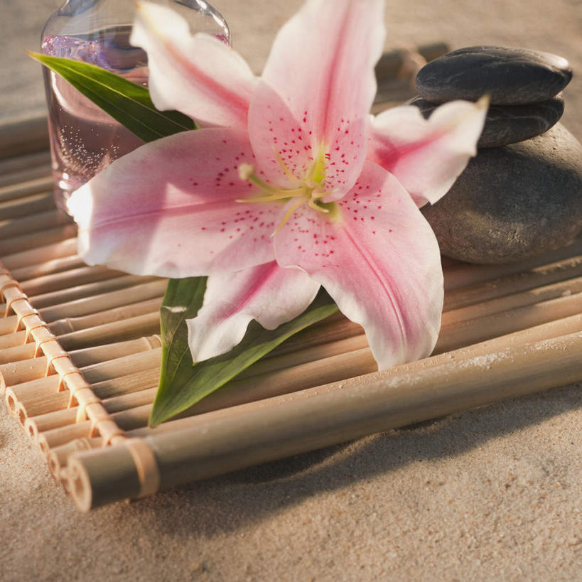 无人,方图,俯视,室外,特写,白天,沙滩,百合花,阴影,朦胧,模糊,盛开,反射,沙子,席子,影子,海岸,沙地,花蕾,花,花瓣,花朵,鲜花,粉色,花苞,花蕊,草席,强瞿,百合蒜,倒仙,番韭,山丹,海滩,彩图,高角度拍摄