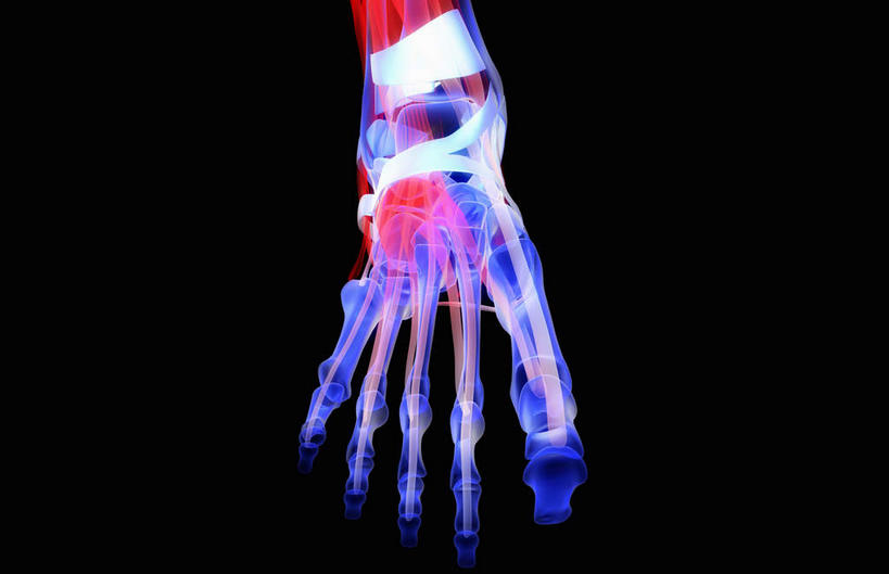 动脉,静脉,骨骼,关节,无人,横图,插画,x光片,室内,特写,白天,正面,数码,科技,静物,阴影,黑色背景,辐射,科学,网络,医学,骨头,高光,几何,计算机图形,合成,图画,画,红色,模型,人体,电脑合成图,数码合成图,骨架,医疗,生物学,科学技术,x射线,x光,韧带,漫画,生理学,写实,具体,具象,腓骨,跗骨,胫骨,趾骨,半身,彩图,电磁波,电磁辐射