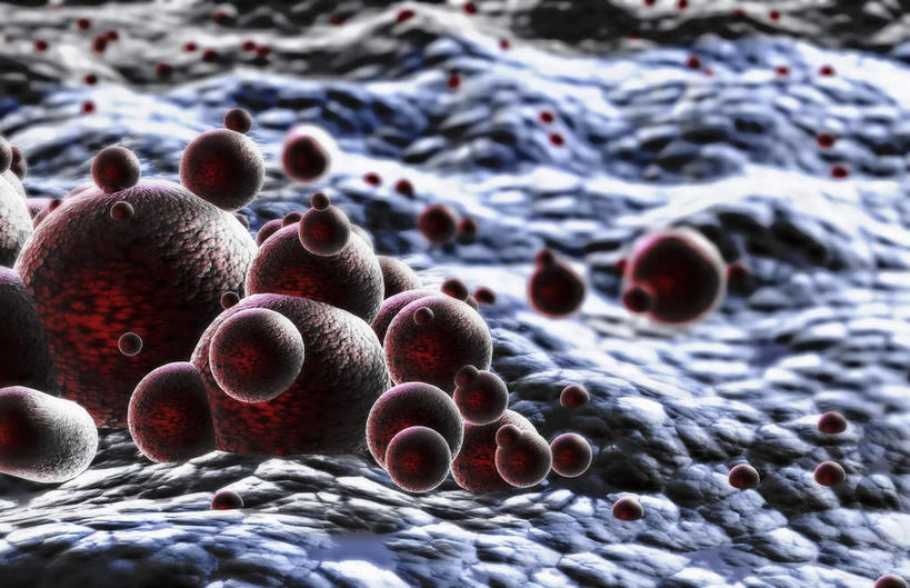 无人,横图,插画,室内,特写,白天,正面,数码,科技,静物,许多,阴影,网络,医学,细胞,高光,几何,计算机图形,合成,图画,画,绿色,球体,人体,药物,电脑合成图,数码合成图,生物学,乳液,漫画,生理学,写实,具体,具象,彩图