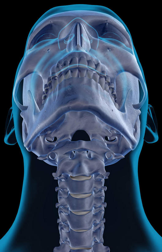 颅骨,动脉,静脉,骨骼,脊椎,无人,竖图,插画,x光片,室内,特写,白天,正面,数码,科技,静物,阴影,黑色背景,辐射,科学,网络,医学,头骨,线条,骨头,高光,几何,计算机图形,合成,图画,画,模型,人体,轮廓,电脑合成图,数码合成图,骨架,医疗,生物学,科学技术,x射线,x光,漫画,生理学,写实,具体,具象,颈椎,椎骨,脊椎骨,面颊骨,面颅骨,脊柱,头盖骨,半身,彩图,电磁波,电磁辐射