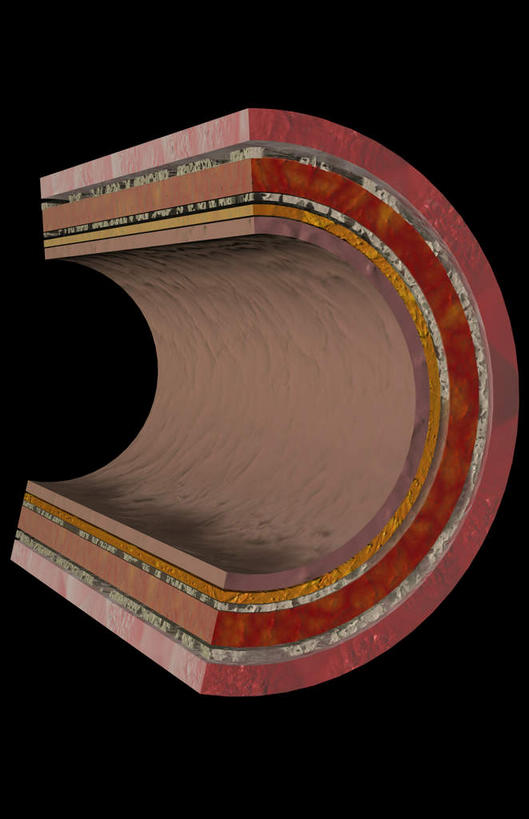 动脉,血管,无人,竖图,插画,室内,白天,正面,数码,科技,静物,阴影,黑色背景,网络,医学,高光,几何,计算机图形,合成,图画,画,人体,电脑合成图,数码合成图,生物学,漫画,生理学,写实,具体,具象,内皮,内膜,外膜,中膜,彩图,血管壁