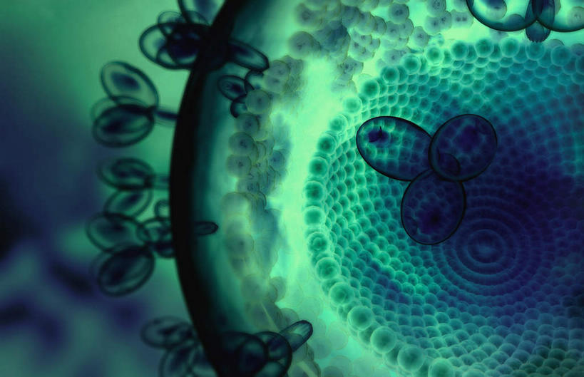 无人,横图,插画,室内,白天,正面,数码,分子,科技,微生物,静物,阴影,黑色背景,网络,医学,细胞,高光,几何,计算机图形,合成,图画,画,生物,人体,电脑合成图,数码合成图,医疗,病毒,生物学,艾滋病,漫画,生理学,写实,具体,具象,寄生,生命体,HIV病毒,艾滋病毒,彩图