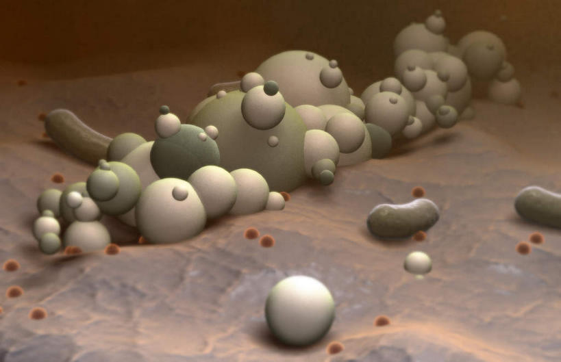 无人,横图,插画,室内,特写,白天,正面,数码,分子,科技,微生物,静物,阴影,网络,医学,高光,几何,计算机图形,合成,图画,画,生物,人体,电脑合成图,数码合成图,医疗,生物学,漫画,生理学,写实,具体,具象,寄生,生命体,乳胶粒子,乳胶微粒,彩图