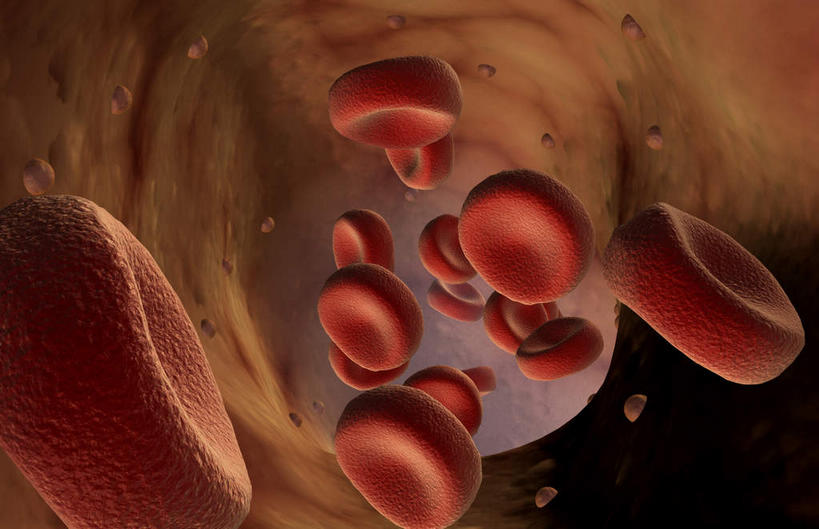 无人,横图,室内,特写,白天,正面,数码,科技,静物,阴影,黑色背景,网络,红血球,医学,细胞,高光,几何,计算机图形,合成,血液,人体,电脑合成图,数码合成图,生物学,生理学,写实,具体,具象,红细胞,彩图