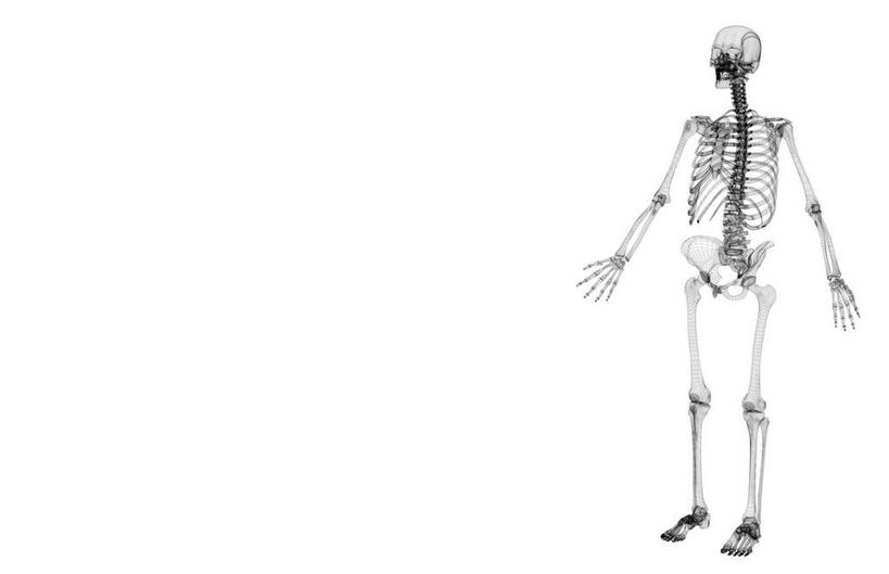 骨骼,肋骨,无人,横图,黑白,x光片,室内,白天,白色背景,仰视,数码,科技,阴影,辐射,科学,网络,医学,骨头,高光,几何,计算机图形,合成,电脑合成图,数码合成图,骨架,医疗,科学技术,x射线,x光,写实,具体,具象,骨骼系统,半身,低角度拍摄,全身,电磁波,电磁辐射