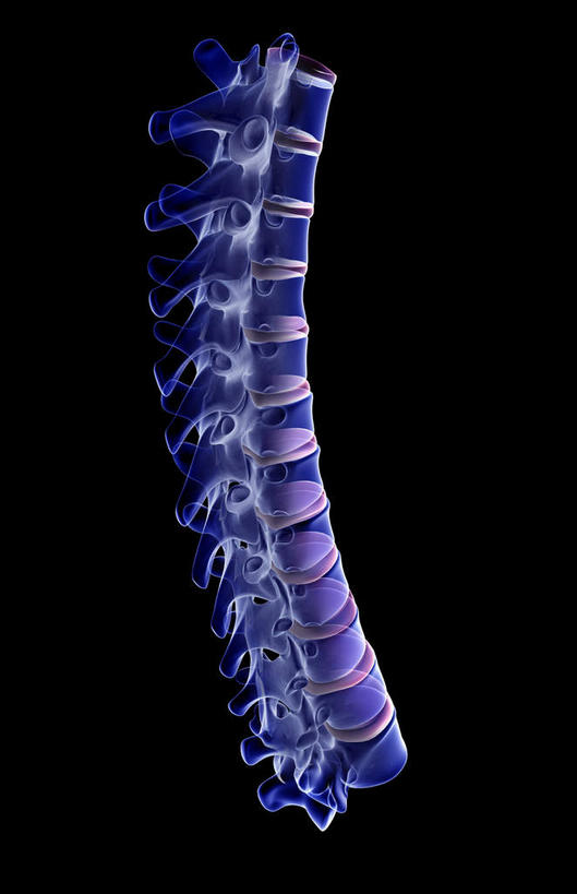 脊髓,骨骼,无人,竖图,x光片,室内,白天,正面,数码,科技,阴影,黑色背景,发光,辐射,科学,网络,医学,骨头,高光,几何,计算机图形,合成,蓝色,电脑合成图,数码合成图,骨架,医疗,科学技术,x射线,x光,写实,具体,具象,腰椎,脊柱,彩图,电磁波,电磁辐射