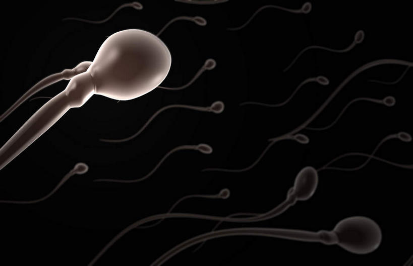 无人,横图,插画,室内,特写,白天,正面,数码,科技,静物,阴影,黑色背景,网络,医学,细胞,高光,几何,计算机图形,合成,图画,画,精子,人体,电脑合成图,数码合成图,生物学,漫画,生理学,写实,具体,具象,彩图