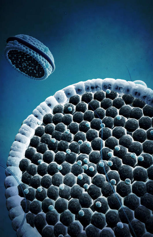 无人,竖图,插画,室内,特写,白天,正面,数码,科技,静物,阴影,黑色背景,网络,医学,细胞,高光,几何,计算机图形,合成,图画,画,人体,电脑合成图,数码合成图,生物学,漫画,生理学,写实,具体,具象,胆固醇,低密度脂蛋白,彩图