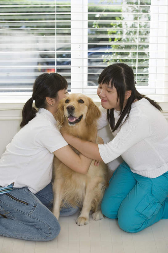东方人,两个人,伙伴,朋友,坐,跪,抱,竖图,室内,白天,侧面,友谊,植物,窗户,落地窗,宠物,狗,亚洲,阴影,服装,裤子,光线,瓷砖,地砖,影子,百叶窗,地面,牛仔裤,休闲装,黄种人,金毛犬,玻璃窗,树,树木,衣服,绿色,阳光,自然,动物,休闲,休闲服,可爱,服饰,金毛,生长,成长,抱着,金毛猎犬,搂着,寻回犬,金毛寻回犬,忠诚,金毛狗,金毛寻回狗,寻回狗,百页窗,友情,年轻女性,女人,女性,亚洲人,长发,犬,跪着,怀抱,搂,搂抱,相抱,拥抱,坐着,半身,彩图