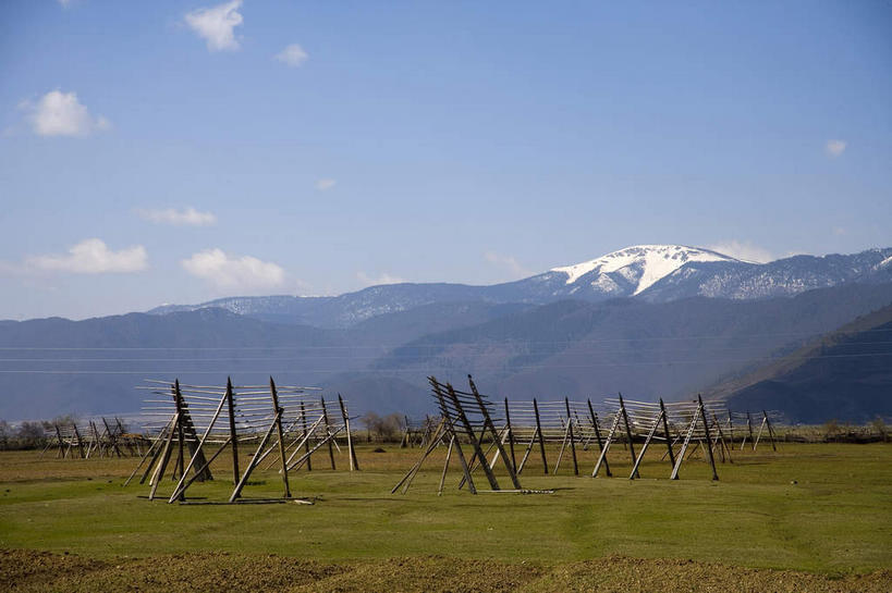 无人,公园,栏杆,横图,室外,白天,正面,旅游,度假,草地,草坪,美景,山,雪,雪山,植物,大雪,香格里拉,中国,亚洲,阴影,光线,影子,冰,积雪,景观,山峰,雪景,云,云朵,冬季,冬天,围栏,山峦,云彩,娱乐,护栏,迪庆,云南,草,树,树木,蓝色,绿色,白云,蓝天,天空,阳光,自然,天,享受,休闲,景色,放松,寒冷,生长,晴朗,成长,冰冷,国家公园,自然风光,东亚,中甸,迪庆藏族自治州,云南省,中华人民共和国,西南地区,严寒,冰凉,酷寒,凛冽,凛凛,极冷,滇,迪庆州,香格里拉县,普达措国家公园,晴空,彩图