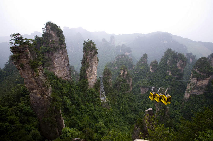 无人,公园,横图,俯视,室外,白天,旅游,度假,美景,森林,山,山脉,树林,植物,鸟,张家界,中国,亚洲,吊挂,悬挂,鸟类,景观,山峰,山峦,挂,娱乐,缆车,树,树木,黄色,绿色,自然,交通工具,群山,享受,休闲,景色,放松,生长,成长,自然风光,东亚,索道,湖南,湖南省,森林公园,张家界国家森林公园,中华人民共和国,华中地区,湘,张家界市,缆索铁路,鹀,彩图,高角度拍摄,带鹀