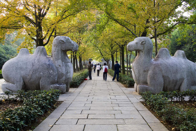 东方人,走,横图,室外,白天,旅游,度假,名胜古迹,植物,标志建筑,道路,地标,建筑,路,雕塑,南京,中国,亚洲,行人,游客,游人,阴影,服装,环保,遗迹,艺术,装饰,光线,雕刻,雕像,影子,小路,防护,交通,许多人,黄种人,古迹,文物,娱乐,建设,古建筑,江苏,路人,旅客,树,树木,两个,背面,衣服,绿色,阳光,自然,工艺品,一群人,享受,休闲,旅游胜地,放松,服饰,生长,成长,纪念,明孝陵,美术,衣着,穿着,美好,美妙,主题,间隔,陈列,古文明,东亚,江苏省,南京市,中华人民共和国,华东地区,苏,省会,功能,美学,美观,雅观,玄武,衣饰,过客,绿篱,生篱,树篱,植篱,男人,男性,年轻男性,年轻女性,女人,女性,亚洲人,石头城,步行,散步,走路,彩图,全身,玄武区,孝陵