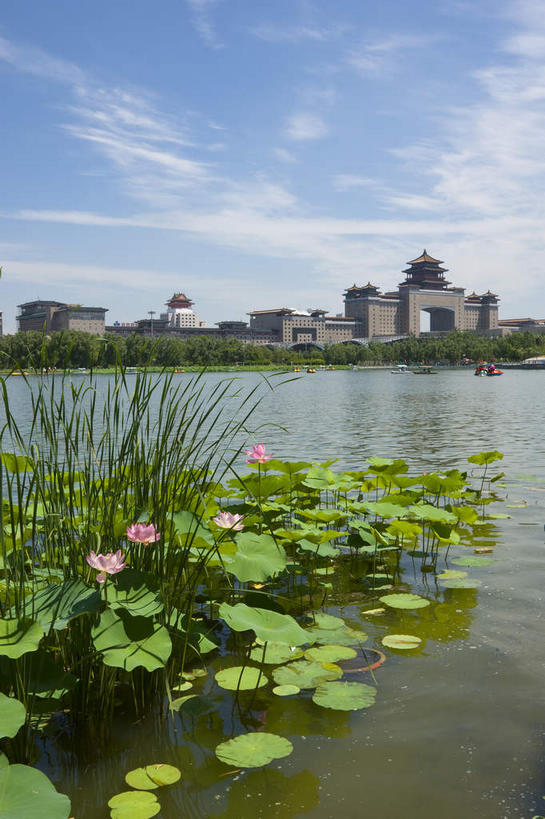 无人,家,火车站,竖图,室外,白天,正面,度假,纯洁,美景,城市风光,城市,车站,莲花,叶子,北京,中国,亚洲,许多,阴影,光线,影子,房屋,屋子,池塘,景观,水池,云,云朵,荷叶,站台,首都,很多,云彩,娱乐,楼房,月台,住宅,粉色,蓝色,白云,蓝天,天空,阳光,天,享受,休闲,景色,放松,晴朗,莲花池,富贵,神圣,东亚,纯净,中华人民共和国,北京市,京,北平,华北地区,莲叶,六月花神,正直,丰台区,鞭蕖,鞭蓉,芙蕖,菡萏,荷花,六月春,藕花,水旦,水芙蓉,水华,水芸,溪客,叶,叶片,晴空,彩图,房子,铁路车站,铁路站,西客站,莲花池公园,北京西客站,北京西站