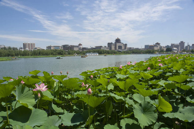 无人,家,火车站,横图,室外,白天,正面,度假,纯洁,美景,城市风光,城市,车站,莲花,叶子,北京,中国,亚洲,许多,阴影,光线,影子,房屋,屋子,池塘,景观,水池,云,云朵,荷叶,站台,首都,很多,云彩,娱乐,楼房,月台,住宅,粉色,蓝色,白云,蓝天,天空,阳光,天,享受,休闲,景色,放松,晴朗,莲花池,富贵,神圣,东亚,纯净,中华人民共和国,北京市,京,北平,华北地区,莲叶,六月花神,正直,丰台区,鞭蕖,鞭蓉,芙蕖,菡萏,荷花,六月春,藕花,水旦,水芙蓉,水华,水芸,溪客,叶,叶片,晴空,彩图,房子,铁路车站,铁路站,西客站,莲花池公园,北京西客站,北京西站