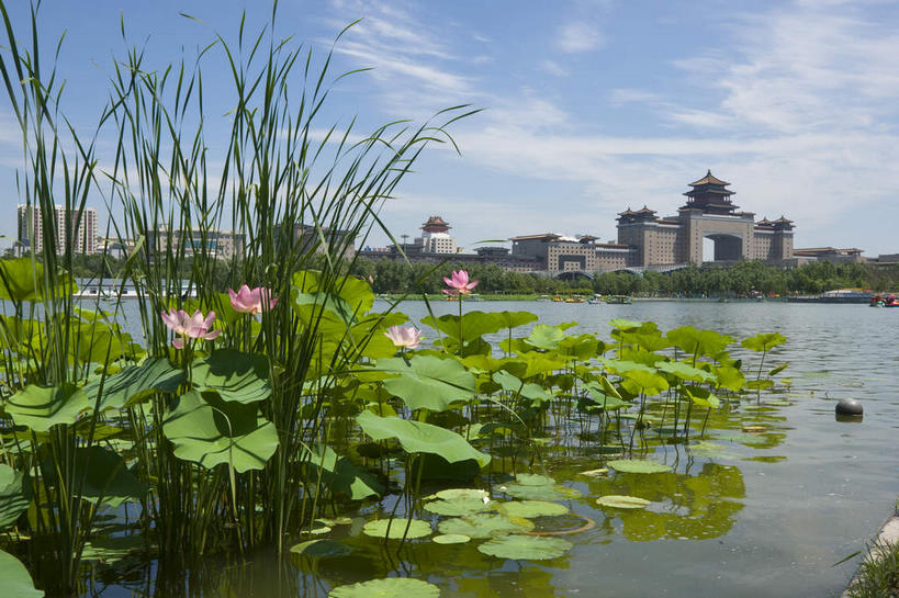 无人,家,火车站,横图,室外,白天,正面,度假,纯洁,美景,城市风光,城市,车站,莲花,叶子,北京,中国,亚洲,许多,阴影,光线,影子,房屋,屋子,池塘,景观,水池,云,云朵,荷叶,站台,首都,很多,云彩,娱乐,楼房,月台,住宅,粉色,蓝色,白云,蓝天,天空,阳光,天,享受,休闲,景色,放松,晴朗,莲花池,富贵,神圣,东亚,纯净,中华人民共和国,北京市,京,北平,华北地区,莲叶,六月花神,正直,丰台区,鞭蕖,鞭蓉,芙蕖,菡萏,荷花,六月春,藕花,水旦,水芙蓉,水华,水芸,溪客,叶,叶片,晴空,彩图,房子,铁路车站,铁路站,西客站,莲花池公园,北京西客站,北京西站