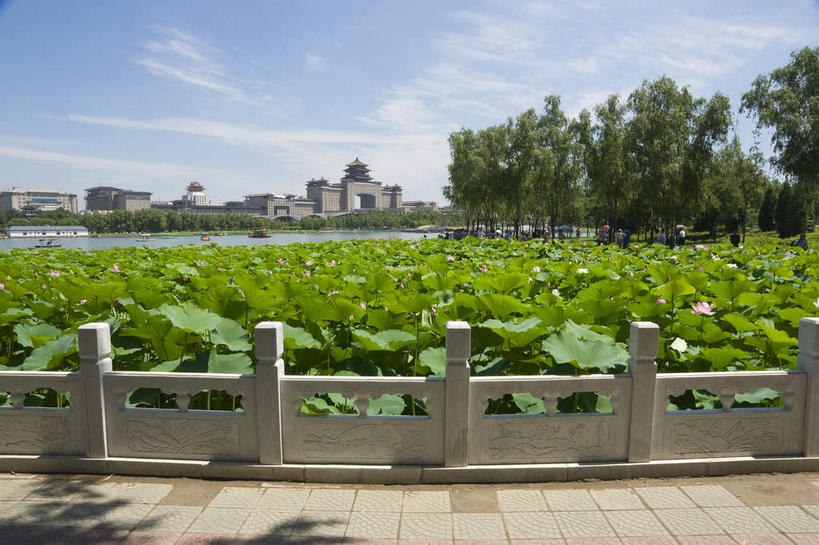 无人,家,栏杆,横图,室外,白天,正面,旅游,度假,美景,树林,植物,叶子,北京,中国,亚洲,许多,阴影,光线,影子,房屋,屋子,池塘,景观,水池,云,云朵,公寓,围栏,荷叶,首都,很多,云彩,娱乐,洋房,护栏,楼房,住宅,树,树木,蓝色,绿色,白云,蓝天,天空,阳光,自然,天,享受,休闲,景色,放松,生长,晴朗,成长,莲花池,自然风光,东亚,中华人民共和国,北京市,京,北平,华北地区,莲叶,丰台区,叶,叶片,晴空,彩图,房子,莲花池公园