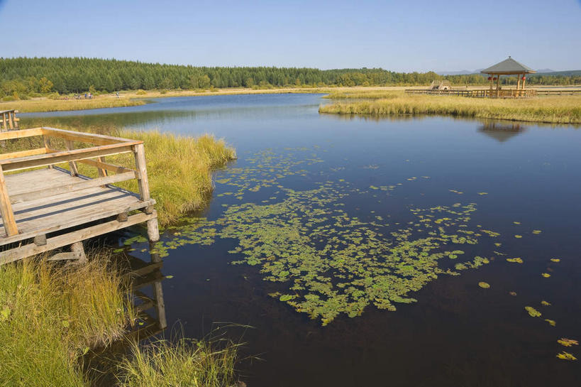 无人,栏杆,横图,室外,白天,正面,旅游,度假,草地,草原,湖,湖泊,美景,水,植物,中国,亚洲,阴影,光线,木板,影子,湖面,景观,旷野,水流,水面,围栏,桥,水草,木桥,娱乐,护栏,栈桥,草,树,树木,蓝色,绿色,倒影,蓝天,天空,阳光,自然,湖水,天,享受,休闲,景色,放松,生长,晴朗,成长,人行桥,木板桥,倒映,自然风光,原野,独木桥,东亚,万里无云,中华人民共和国,华北地区,河北,河北省,冀,承德,承德市,反照,晴空,晴空万里,彩图,坝上草原