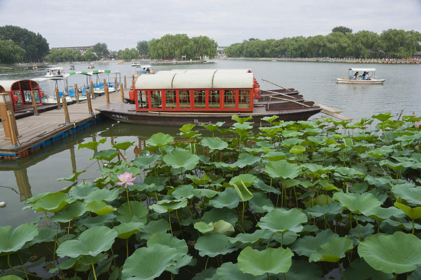 无人,横图,室外,白天,正面,度假,纯洁,湖,湖泊,美景,森林,树林,水,植物,城市风光,城市,船,莲花,叶子,北京,中国,亚洲,许多,阴影,光线,影子,湖面,景观,水流,水面,游艇,荷叶,首都,很多,停留,娱乐,什刹海,树,树木,粉色,蓝色,绿色,蓝天,天空,阳光,自然,交通工具,湖水,天,享受,休闲,景色,放松,生长,晴朗,成长,停止,富贵,神圣,载具,东亚,纯净,万里无云,中华人民共和国,北京市,京,北平,华北地区,莲叶,六月花神,正直,逗留,停顿,鞭蕖,鞭蓉,芙蕖,菡萏,荷花,六月春,藕花,水旦,水芙蓉,水华,水芸,溪客,叶,叶片,晴空,晴空万里,彩图,十刹海