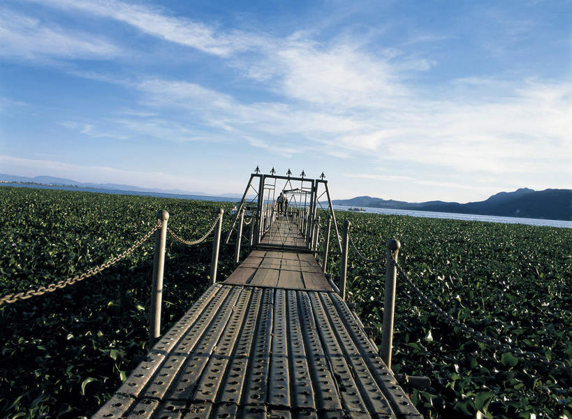 无人,栏杆,横图,室外,白天,正面,消失点,旅游,度假,湖,湖泊,美景,山,山脉,水,植物,昆明,中国,亚洲,阴影,光线,木板,影子,湖面,景观,山峰,水流,水面,云,云朵,围栏,桥,水草,木桥,山峦,云彩,娱乐,护栏,云南,栈桥,蓝色,白云,蓝天,天空,阳光,自然,湖水,群山,天,享受,休闲,景色,放松,生长,晴朗,成长,人行桥,木板桥,淡水湖,自然风光,独木桥,昆明市,东亚,云南省,滇池,昆明湖,中华人民共和国,省会,西南地区,滇,晴空,彩图,没影点,灭点,昆明池