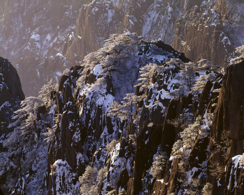 无人,横图,室外,白天,正面,旅游,度假,黄山,美景,森林,山,山脉,树林,雪,植物,大雪,中国,亚洲,阴影,光线,影子,积雪,景观,山峰,雪景,冬季,冬天,山峦,娱乐,树,树木,绿色,阳光,自然,群山,享受,休闲,景色,放松,寒冷,生长,成长,自然风光,东亚,安徽,安徽省,黄山市,中华人民共和国,华东地区,严寒,皖,黟山,彩图,世界地质公园,天下第一奇山