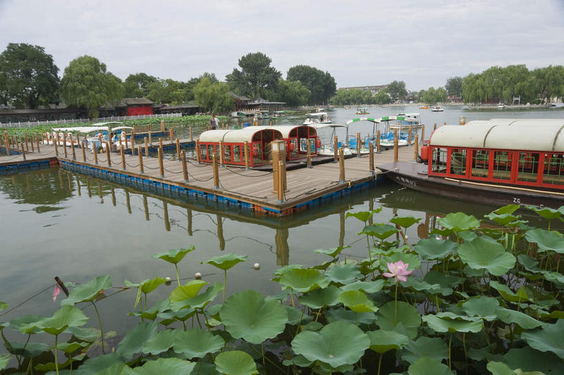 无人,栏杆,横图,室外,白天,正面,度假,纯洁,湖,湖泊,美景,树林,水,植物,城市风光,城市,船,莲花,叶子,许多,漂浮,盛开,湖面,景观,水流,水面,围栏,荷叶,很多,花蕾,娱乐,护栏,花,花瓣,花朵,鲜花,树,树木,粉色,绿色,倒影,天空,自然,交通工具,湖水,天,花苞,花蕊,享受,休闲,景色,放松,生长,成长,漂流,倒映,舟,富贵,神圣,载具,纯净,莲叶,六月花神,正直,流浪,流落,流散,漂泊,飘泊,飘流,反照,鞭蕖,鞭蓉,芙蕖,菡萏,荷花,六月春,藕花,水旦,水芙蓉,水华,水芸,溪客,叶,叶片,彩图