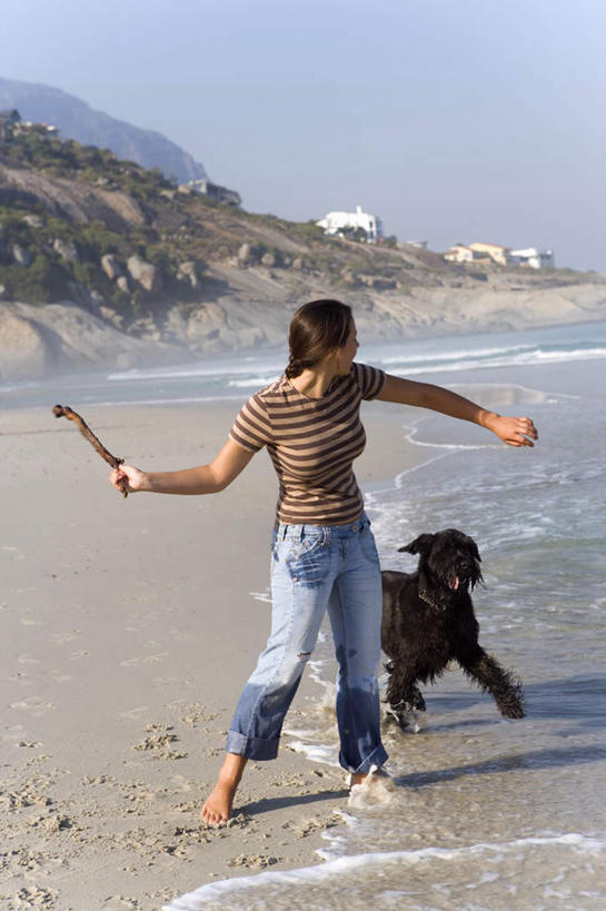 西方人,一个人,站,投,伸展双臂,竖图,室外,白天,正面,海浪,海洋,石头,沙滩,宠物,狗,欧洲,欧洲人,仅一个年轻女性,仅一个女性,仅一个人,握,阴影,服装,裤子,光线,沙子,石子,影子,海岸,浪花,沙地,拿,拿着,注视,牛仔裤,休闲装,一只,衣服,蓝色,黑色,蓝天,天空,阳光,海水,动物,天,观察,看,站着,休闲,休闲服,可爱,握着,服饰,晴朗,观看,察看,关注,寻回犬,海景,忠诚,万里无云,寻回狗,年轻女性,女人,女性,白种人,大海,风浪,海,海水的波动,海滩,近岸浪,石块,岩石,涌浪,晴空,晴空万里,犬,敞开双臂,抛,扔,撒,伸开双臂,展开双肩,站立,张开手臂,张开双臂,掷,彩图,全身,平毛寻回猎犬,平毛寻回犬