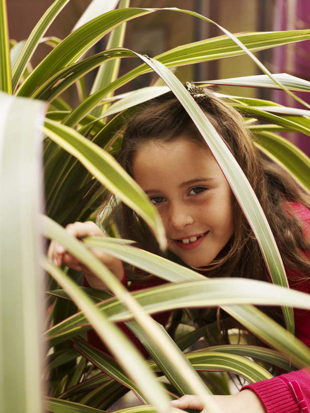 西方人,儿童,一个人,笑,微笑,露齿笑,竖图,室外,白天,正面,游戏,纯洁,植物,欧洲,欧洲人,仅一个女性,仅一个人,躲藏,服装,盆栽,盆景,玩,注视,休闲装,娱乐,小孩,衣服,绿色,自然,观察,看,仅一个小孩,休闲,休闲服,可爱,童年,童趣,服饰,生长,成长,观看,活动,察看,隐藏,捉迷藏,发泄,关注,消遣,智力,躲猫猫,童真,烂漫,无邪,宣泄,潜藏,天真,女孩,女人,女性,白种人,孩子,玩耍,嬉戏,半身,彩图,女生