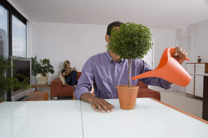 西方人,两个人,家庭,夫妻,客厅,坐,横图,室内,白天,正面,爱情,水,植物,窗户,落地窗,沙发,桌面,桌子,欧洲,非洲,黑人,欧洲人,握,飞溅,服装,溅,木制,壶,盆栽,液体,墙,水滴,盆景,浪漫,拿,洒水壶,拿着,注视,休闲装,玻璃窗,墙壁,墙面,水壶,水珠,衣服,绿色,白色,自然,木制品,观察,看,休闲,温暖,温馨,一家人,休闲服,恩爱,握着,遮,遮掩,恋人,服饰,生长,成长,观看,和睦,察看,起居室,掩盖,遮挡,关注,喷洒,布艺沙发,遮盖,掩饰,浇水壶,客堂,男人,男性,年轻男性,年轻女性,女人,女性,白种人,非洲人,年轻人,夫妇,情侣,坐着,半身,彩图,伴侣,融洽